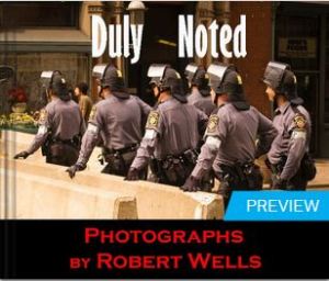 Duly Noted eBook download